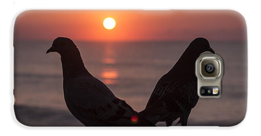 Birds Galaxy S6 Case featuring the photograph Birds at Sunrise by Nelson Watkins
