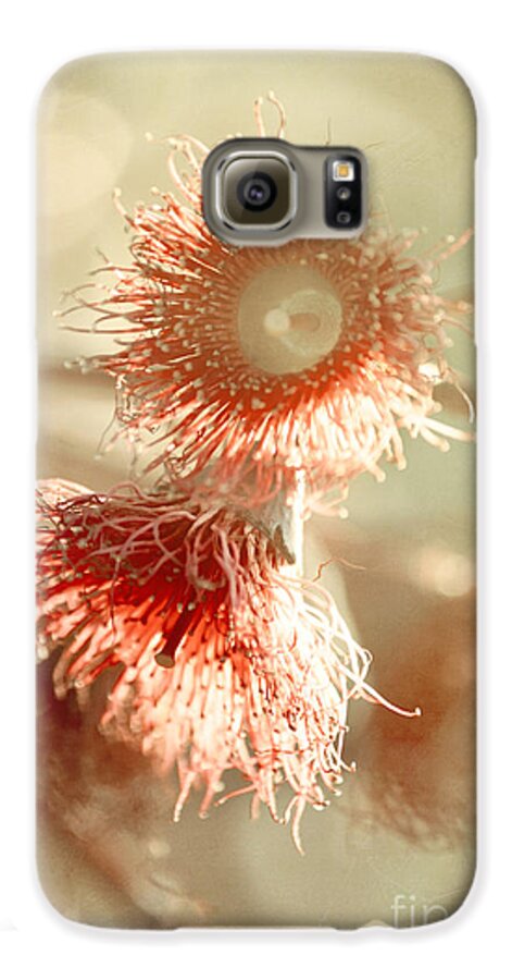 Blossom Galaxy S6 Case featuring the photograph Blossom and Bokeh by Linda Lees