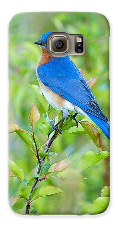 Bluebird Galaxy S6 Case featuring the photograph Bluebird Joy by William Jobes