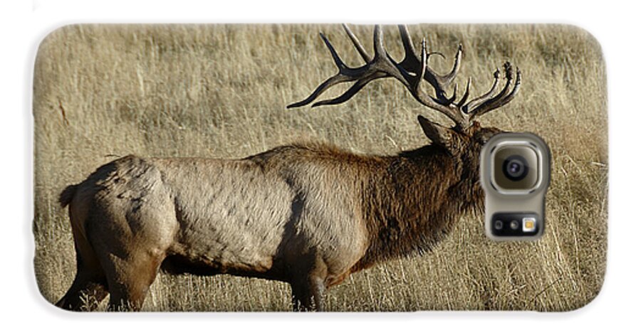 Photography Galaxy S6 Case featuring the photograph Bull Elk Bugling by Lee Kirchhevel