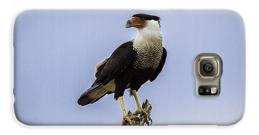Bird Galaxy S6 Case featuring the photograph Crested Caracara by Donald Brown