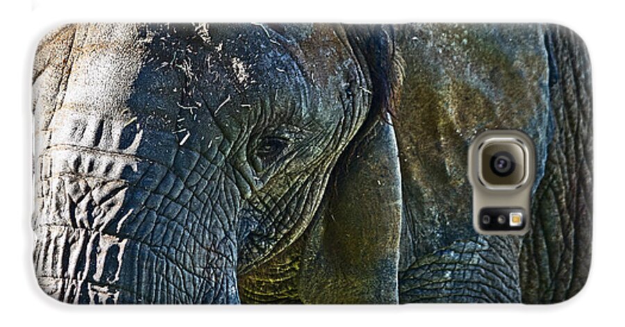 #elephant Galaxy S6 Case featuring the photograph Cuddles in search by Miroslava Jurcik