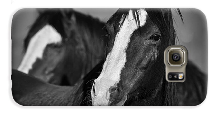 Horse Galaxy S6 Case featuring the photograph Curious Horses by Ana V Ramirez