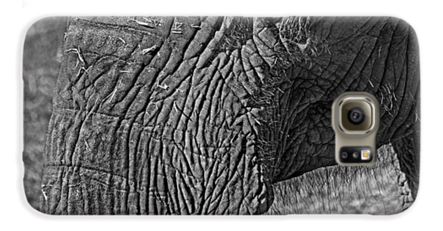 African Elephant Galaxy S6 Case featuring the photograph Elephant.. dont cry by Miroslava Jurcik