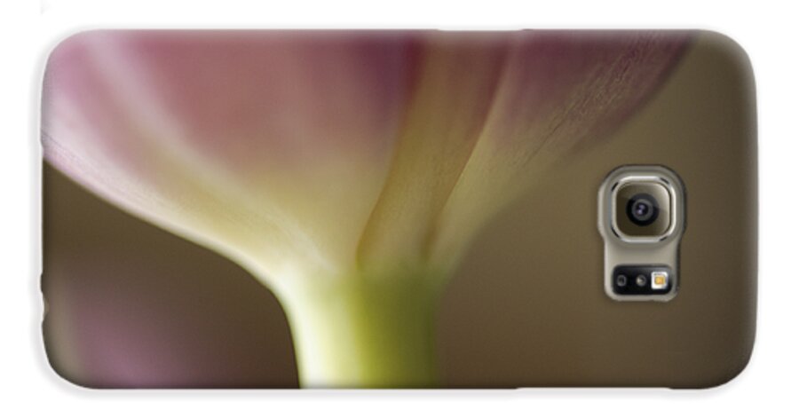 Baby Pink Galaxy S6 Case featuring the photograph Ethereal Curvature by Christi Kraft
