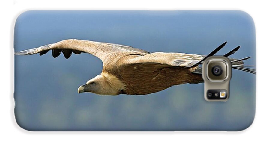 Adult Galaxy S6 Case featuring the photograph Griffon Vulture In Flight by Bildagentur-online/mcphoto-schaef