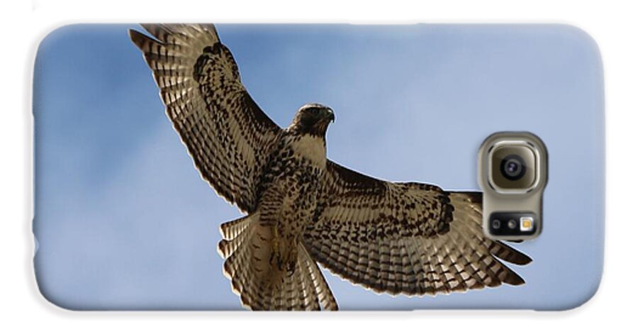 Hawk Galaxy S6 Case featuring the photograph Hawk in Flight by Christy Pooschke