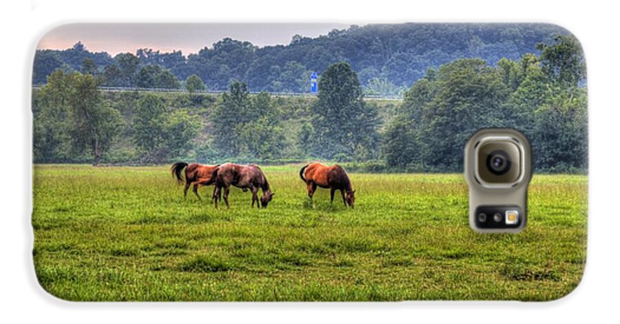 Horse Galaxy S6 Case featuring the photograph Horses in a Field 2 by Jonny D