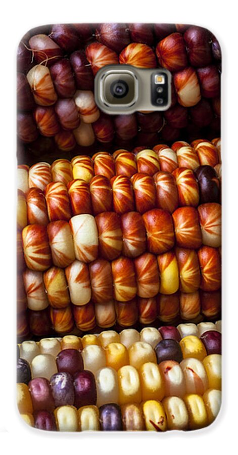  Indian Galaxy S6 Case featuring the photograph Indian Corn Harvest Time by Garry Gay