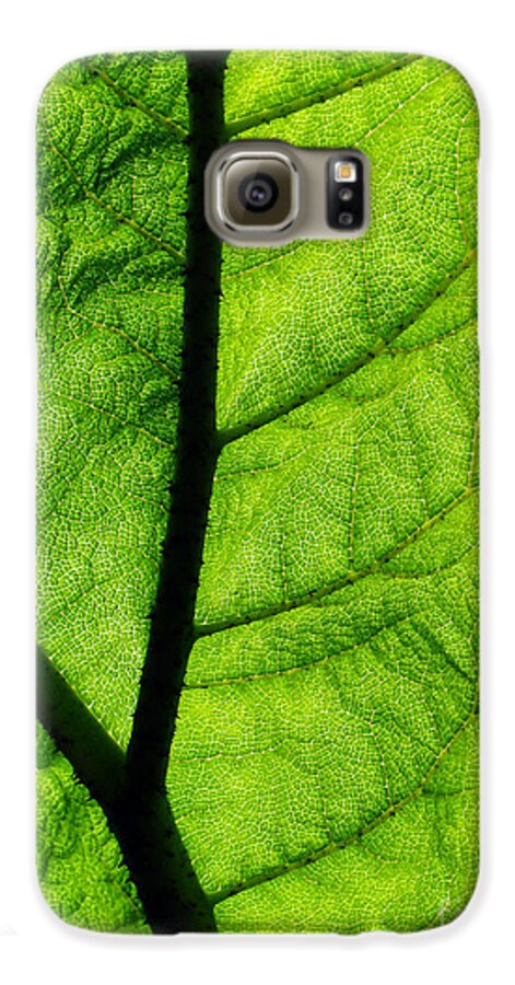 Graan Raad Bij zonsopgang Leaf 3 Galaxy S6 Case by Ben Yassa - Pixels
