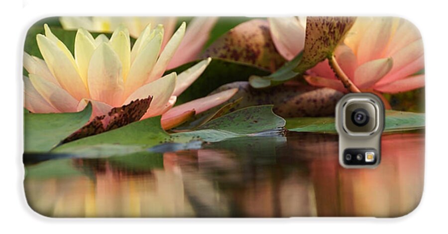 Water Lily Galaxy S6 Case featuring the photograph Lily Reflections 1 by Leda Robertson