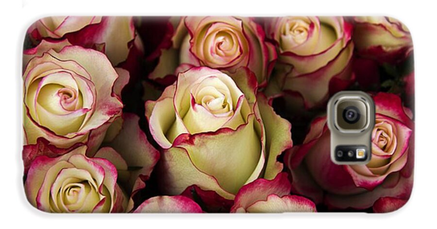 Love Galaxy S6 Case featuring the photograph Love Is A Rose III by Al Bourassa