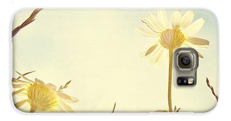 Summer Galaxy S6 Case featuring the photograph #mgmarts #daisy #all_shots #dreamy by Marianna Mills
