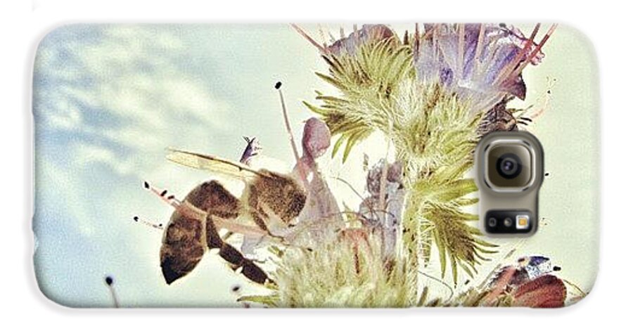 Summer Galaxy S6 Case featuring the photograph #mgmarts #flower #spring #summer #bee by Marianna Mills