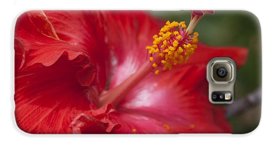 Aloha Galaxy S6 Case featuring the photograph Morning Whispers by Sharon Mau