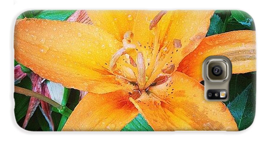 Orange Galaxy S6 Case featuring the photograph #orange #lily After The #rain Is Still by Teresa Mucha