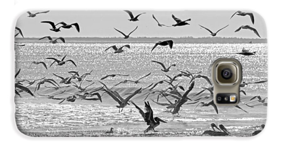 Pelican Galaxy S6 Case featuring the photograph Pelican Chaos by Betsy Knapp