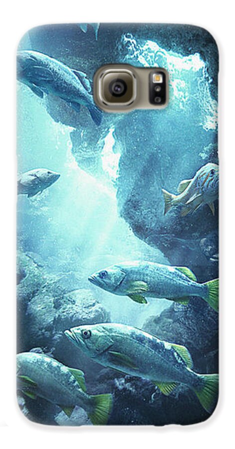 Fish Galaxy S6 Case featuring the digital art Rockfish Sanctuary by Javier Lazo