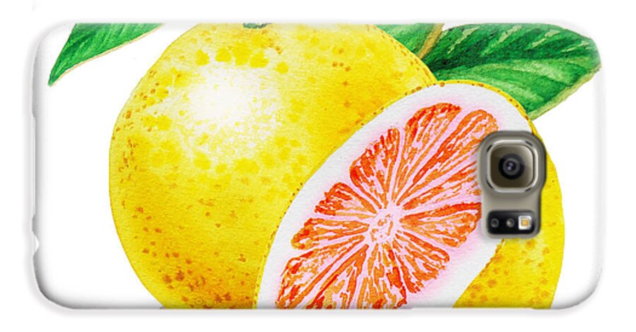 Ruby Galaxy S6 Case featuring the painting Ruby Red Grapefruit by Irina Sztukowski