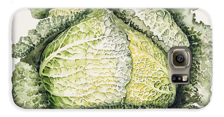 Cabbage Galaxy S6 Case featuring the painting Savoy Cabbage by Alison Cooper