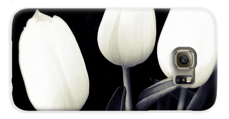 Tulips Galaxy S6 Case featuring the photograph Soft and bright white tulips black background by Matthias Hauser