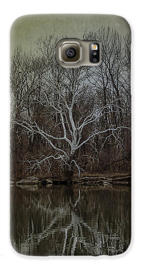 Sycamore Galaxy S6 Case featuring the photograph Sycamore Dancer by Terry Rowe