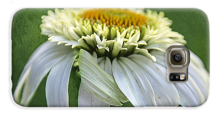 Coneflower Galaxy S6 Case featuring the photograph The First Coneflower by Terry Rowe