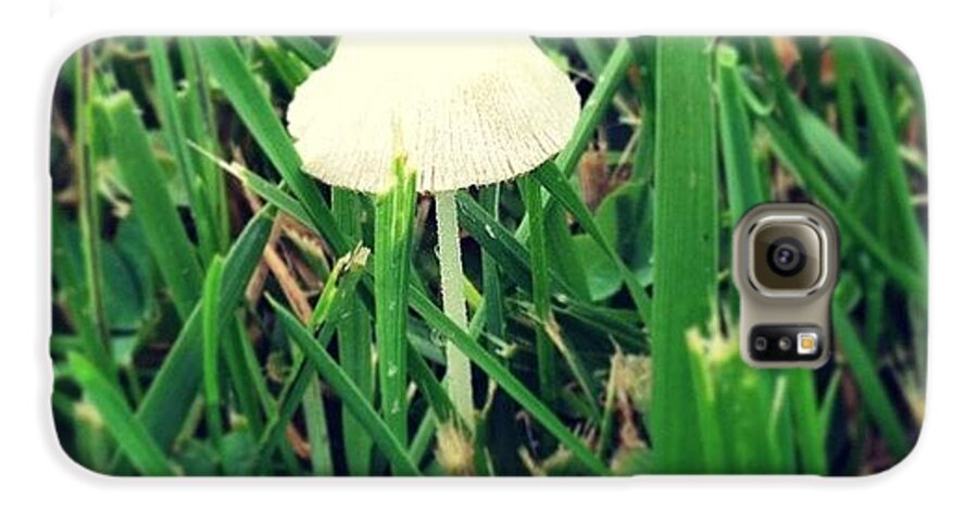 Mushroom Galaxy S6 Case featuring the photograph Tiny Mushroom In Grass #mushroom #grass by Marianna Mills