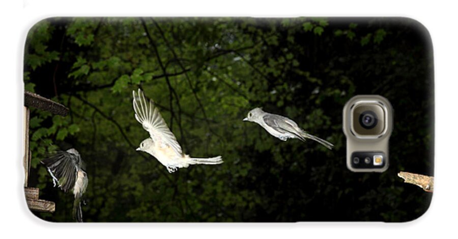Tufted Titmouse Galaxy S6 Case featuring the photograph Tufted Titmouse In Flight #4 by Ted Kinsman