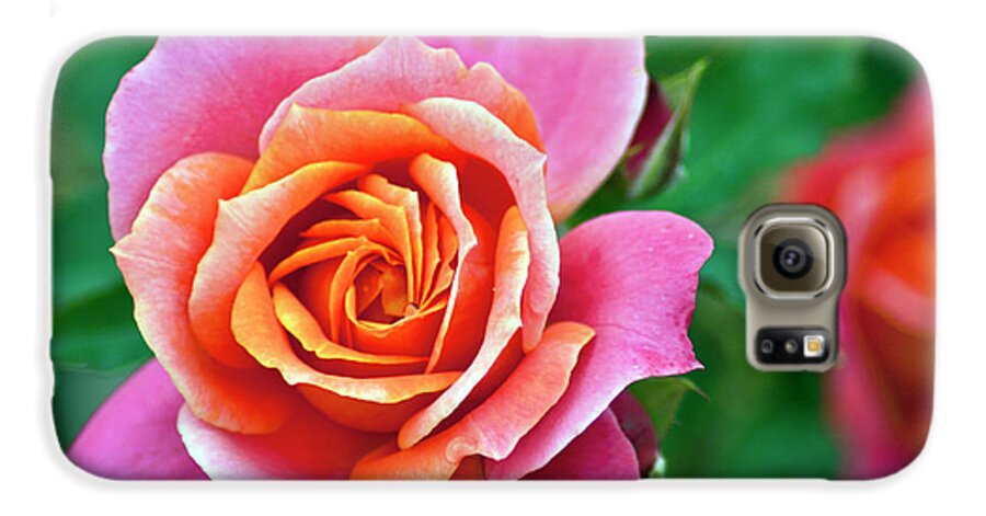 Rose Galaxy S6 Case featuring the photograph Rose #1 by Bill Barber