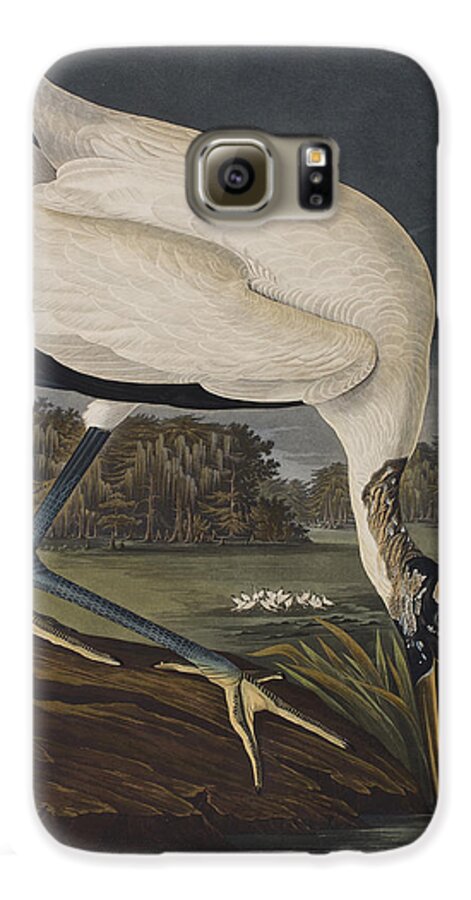 Plate 216 Wood Ibiss Galaxy S6 Case featuring the painting Wood Ibis by John James Audubon