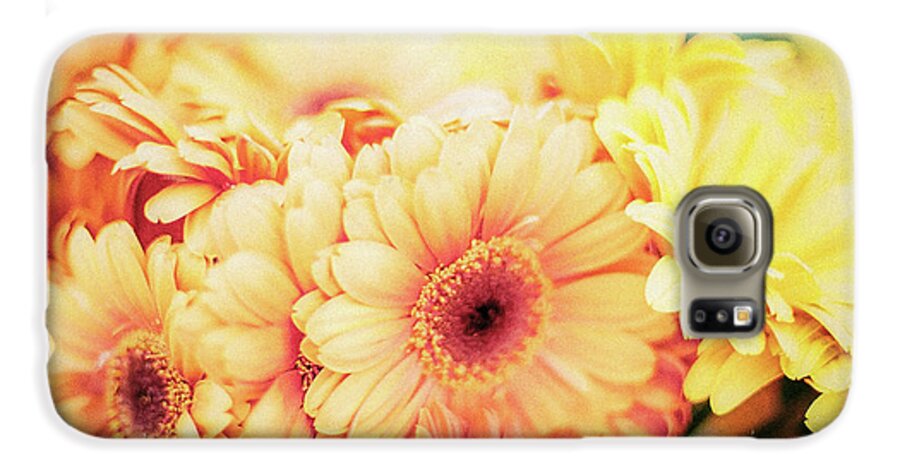 Daisy Galaxy S6 Case featuring the photograph All The Daisies by Ana V Ramirez