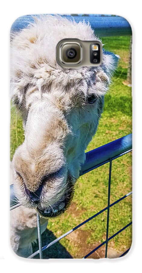 Alpaca Galaxy S6 Case featuring the photograph Alpaca Yeah by Jonny D