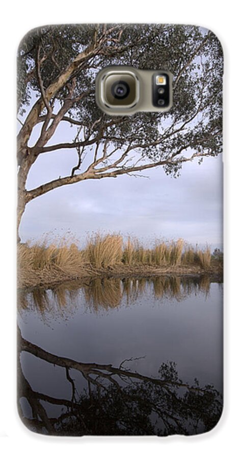 Eucalyptus Galaxy S6 Case featuring the photograph Dam by Linda Lees