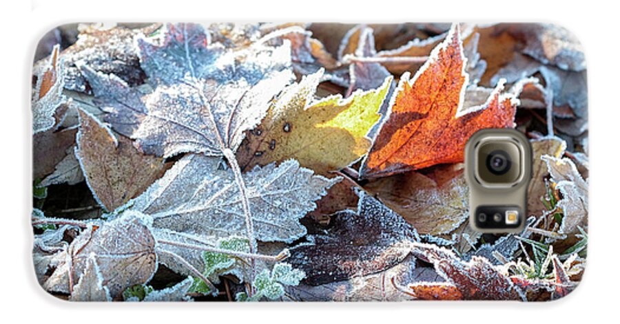 Autumn Galaxy S6 Case featuring the photograph Autumn ends, Winter begins 3 by Linda Lees