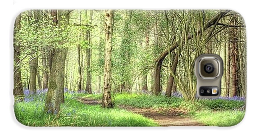Nature Galaxy S6 Case featuring the photograph Bentley Woods, Warwickshire
#landscape by John Edwards