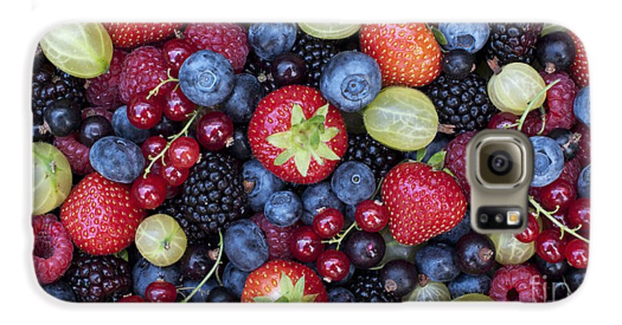 Red Galaxy S6 Case featuring the photograph Berried by Tim Gainey