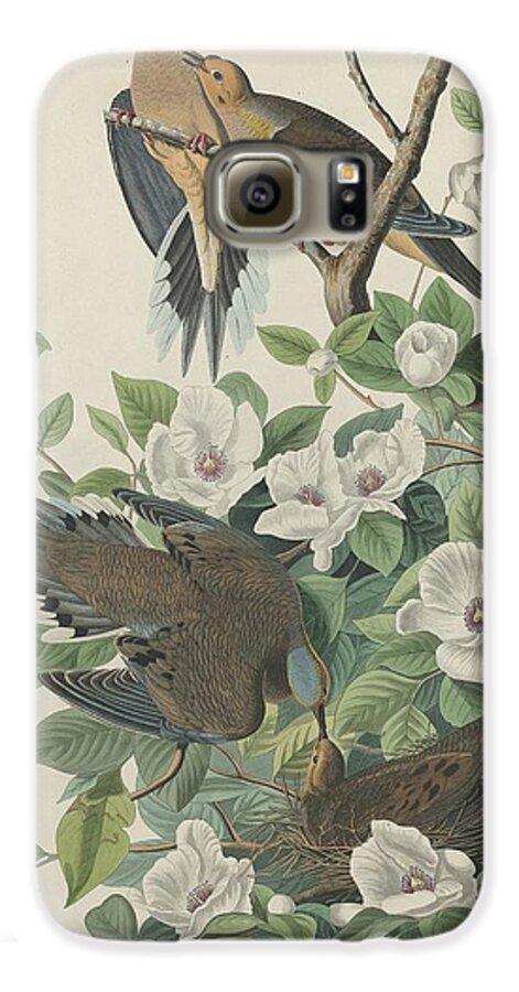 Audubon Galaxy S6 Case featuring the drawing Carolina Pigeon or Turtle Dove by Dreyer Wildlife Print Collections 