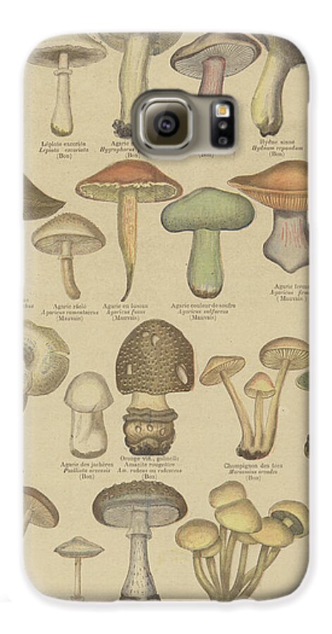 Food Galaxy S6 Case featuring the drawing Edible and poisonous mushrooms by French School