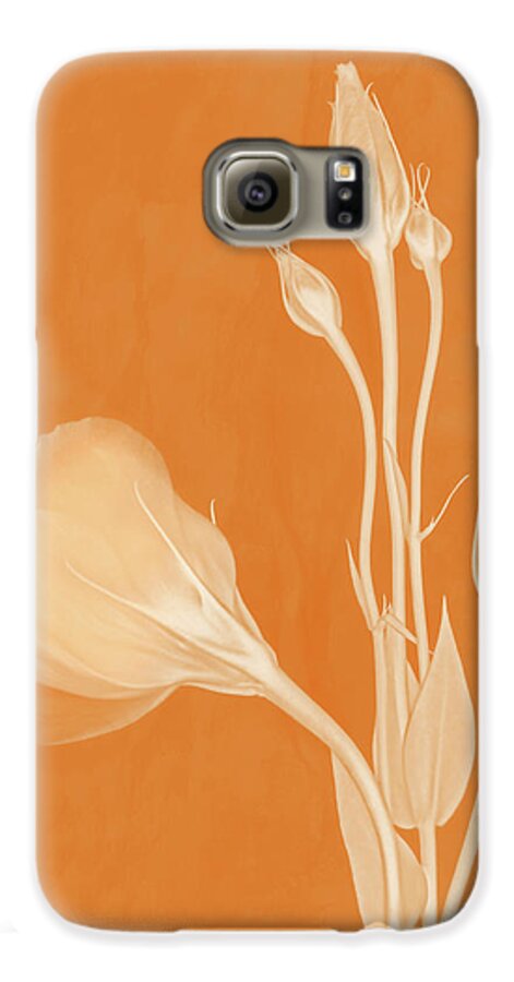 Lisianthus Flowers Galaxy S6 Case featuring the photograph Elegance in Apricot by Leda Robertson