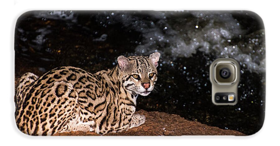 Ocelot Galaxy S6 Case featuring the photograph Fishing in the Stream by Alex Lapidus