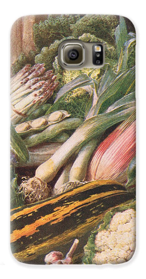 Garden Vegetables Galaxy S6 Case featuring the painting Garden Vegetables by Louis Fairfax Muckley