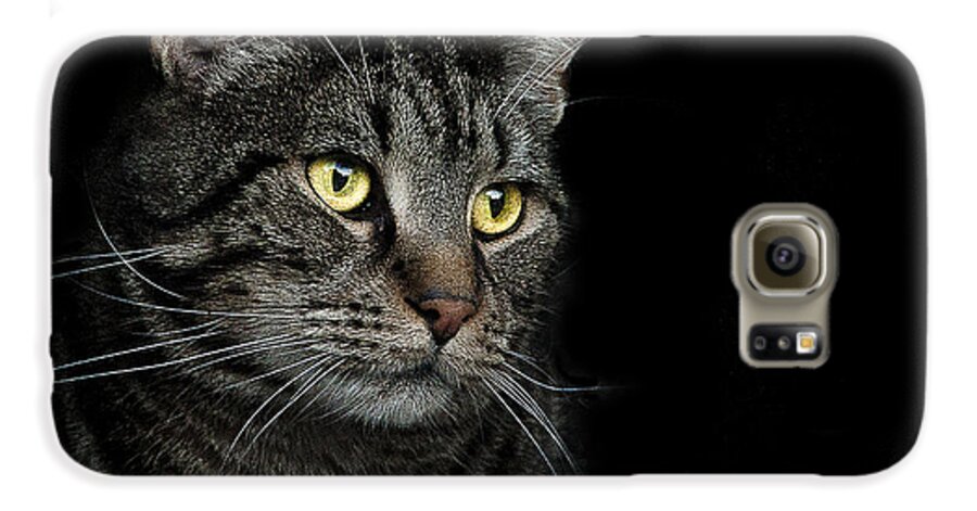 Cat Galaxy S6 Case featuring the photograph Gaze by Paul Neville