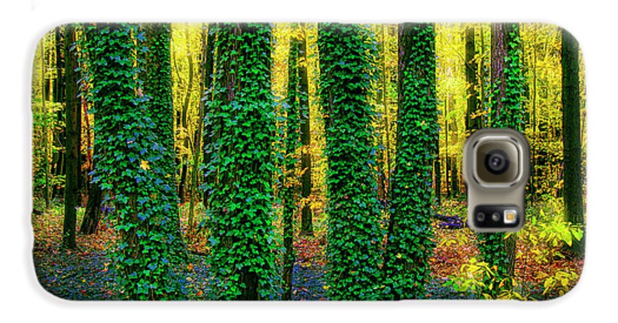 Trees Galaxy S6 Case featuring the photograph Green Five by John Hansen