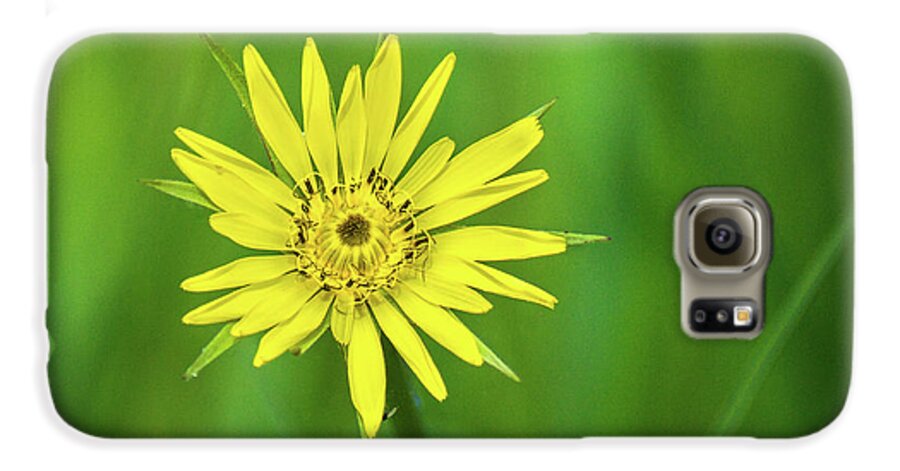 Wildflower Galaxy S6 Case featuring the photograph Hello Wild Yellow by Bill Pevlor