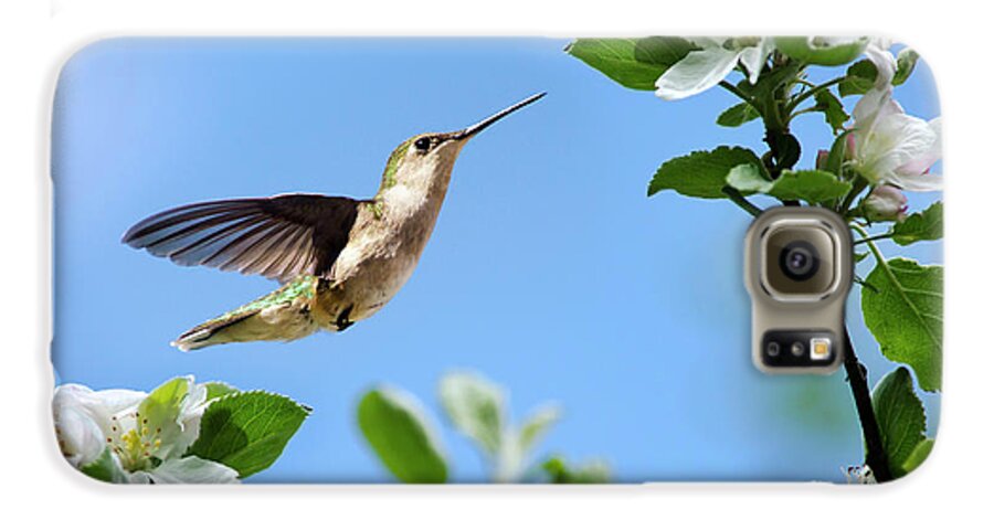 Birds Galaxy S6 Case featuring the photograph Hummingbird Springtime by Christina Rollo