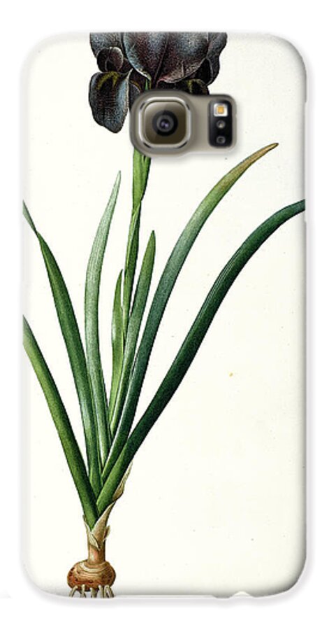 Iris Luxiana Galaxy S6 Case featuring the painting Iris Luxiana by Pierre Joseph Redoute