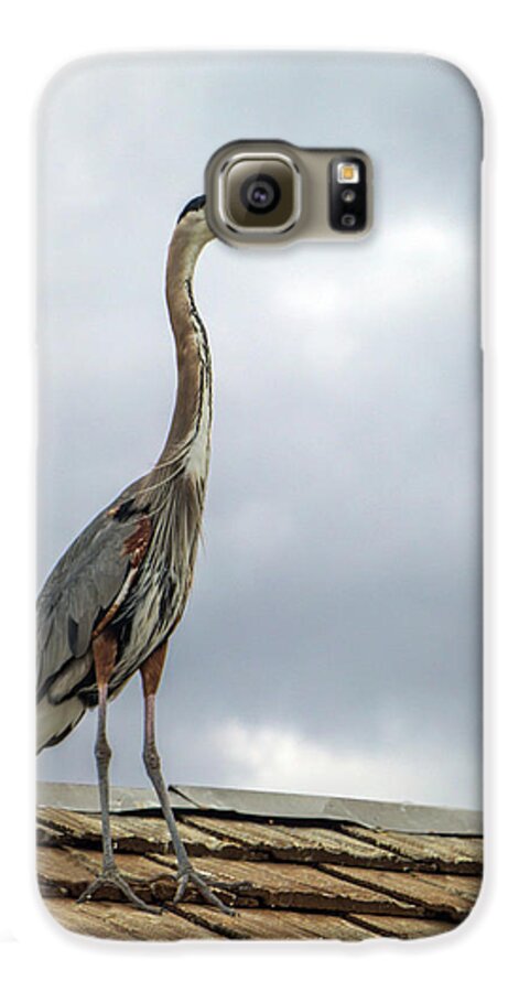 Animal Galaxy S6 Case featuring the photograph Keeping Watch by Ed Clark