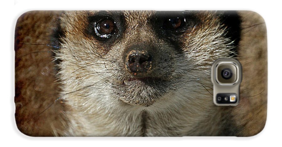Meerkat Galaxy S6 Case featuring the photograph Meerkat 4 by Ernest Echols