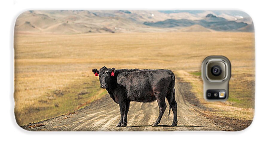 Black Angus Galaxy S6 Case featuring the photograph Middle of the Road by Todd Klassy
